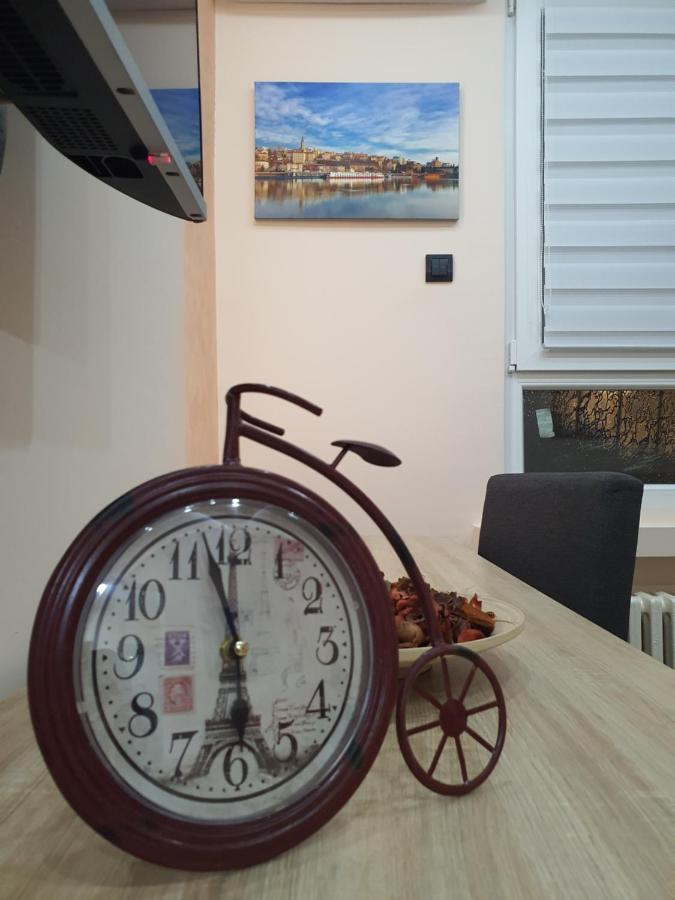 Apartman Dodolu 贝尔格莱德 外观 照片