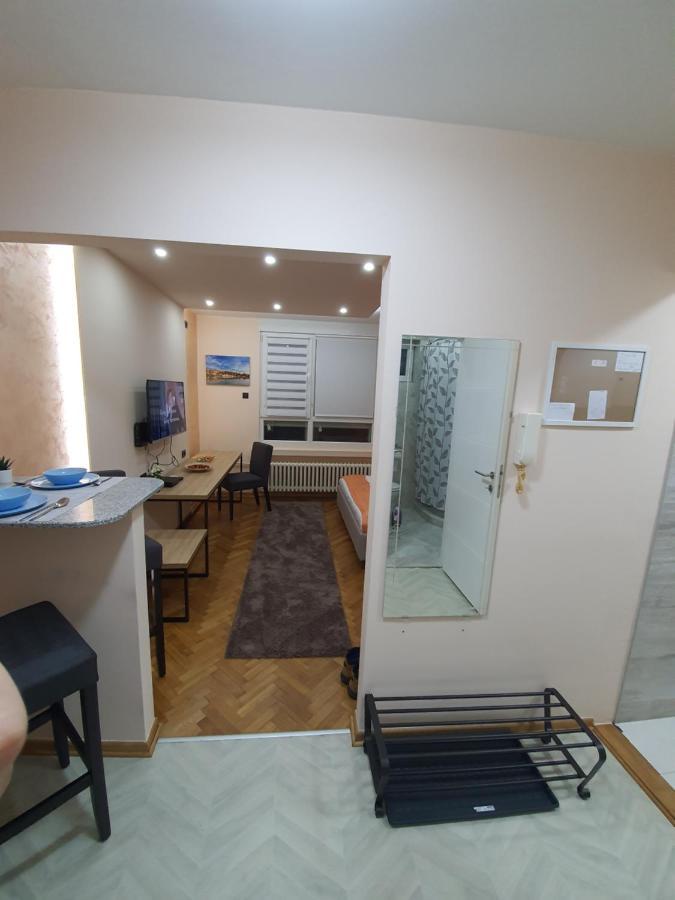 Apartman Dodolu 贝尔格莱德 外观 照片