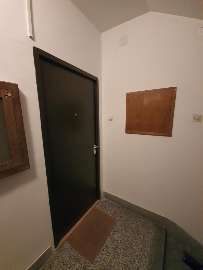 Apartman Dodolu 贝尔格莱德 外观 照片